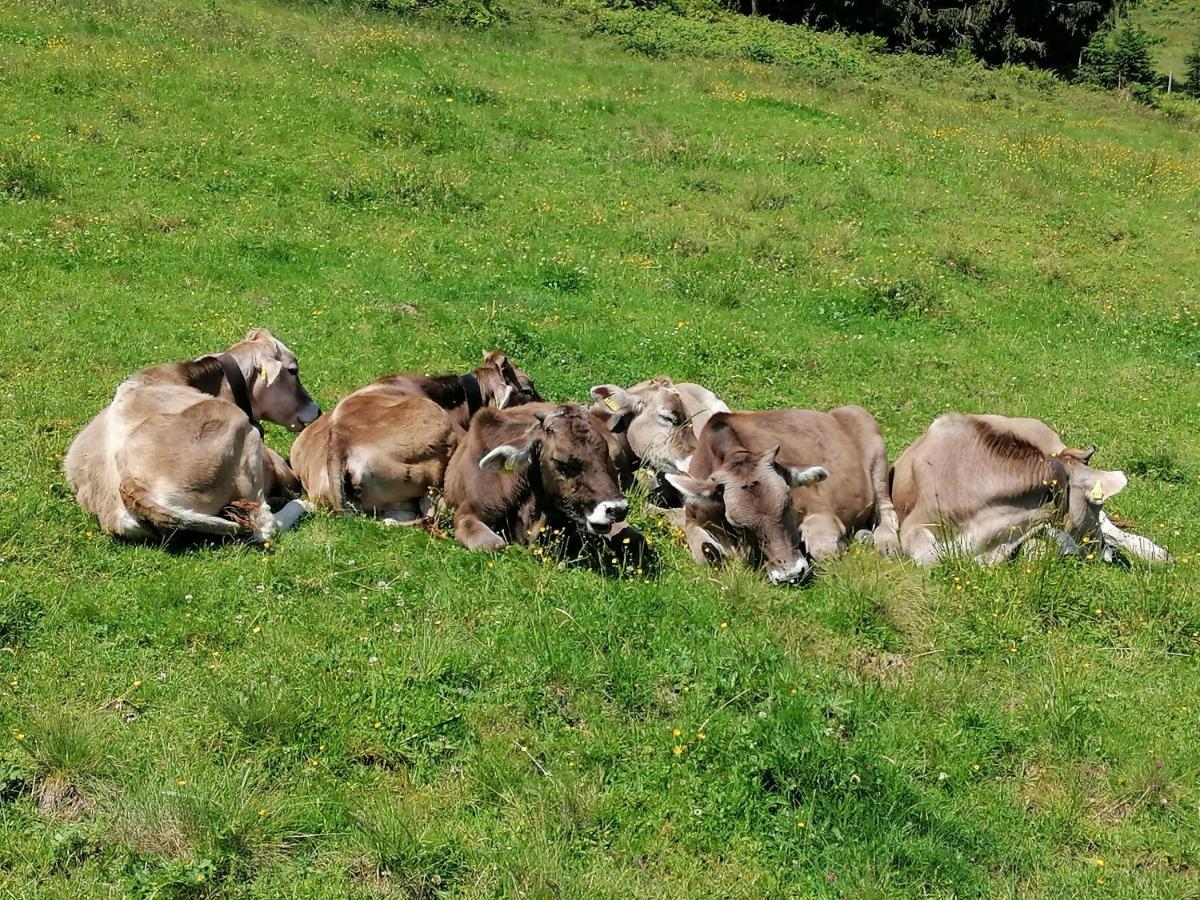 Fruehstueckspension Bilgeri Sulzberg  Exteriör bild