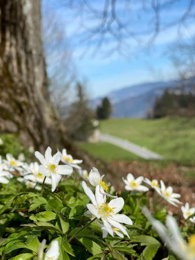 Fruehstueckspension Bilgeri Sulzberg  Exteriör bild